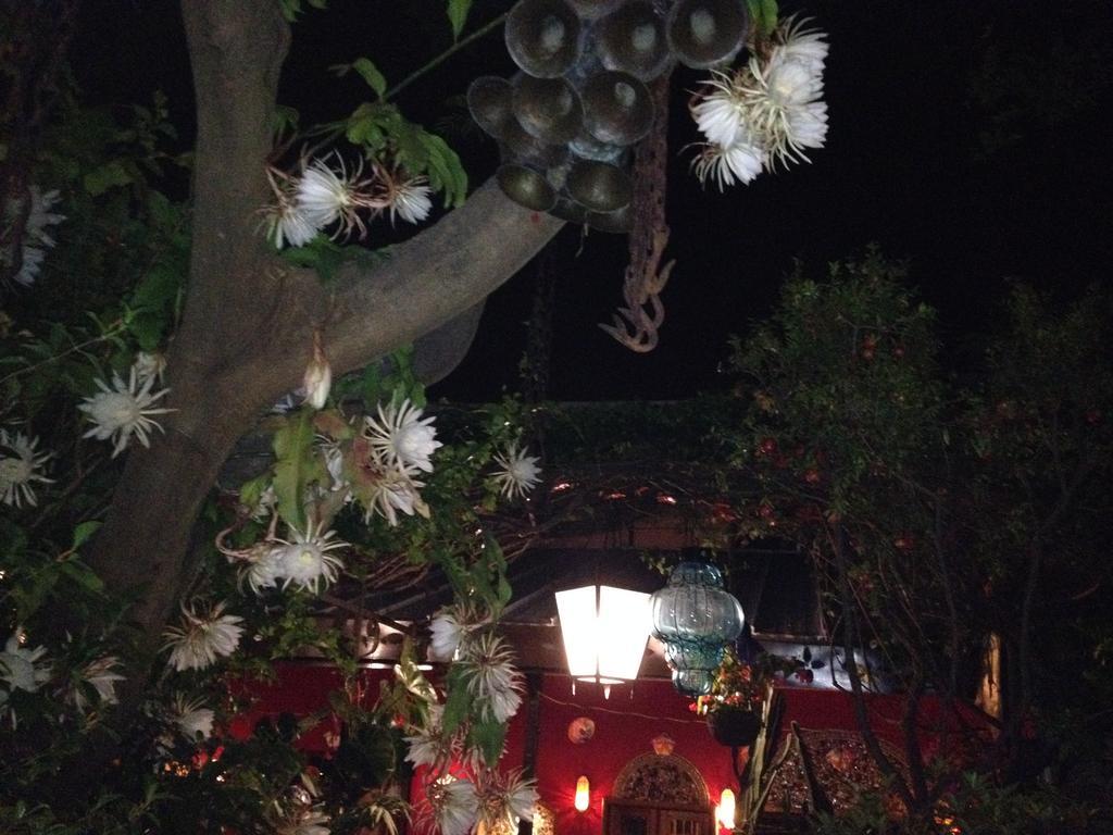Casa De Las Flores Tlaquepaque Exterior foto