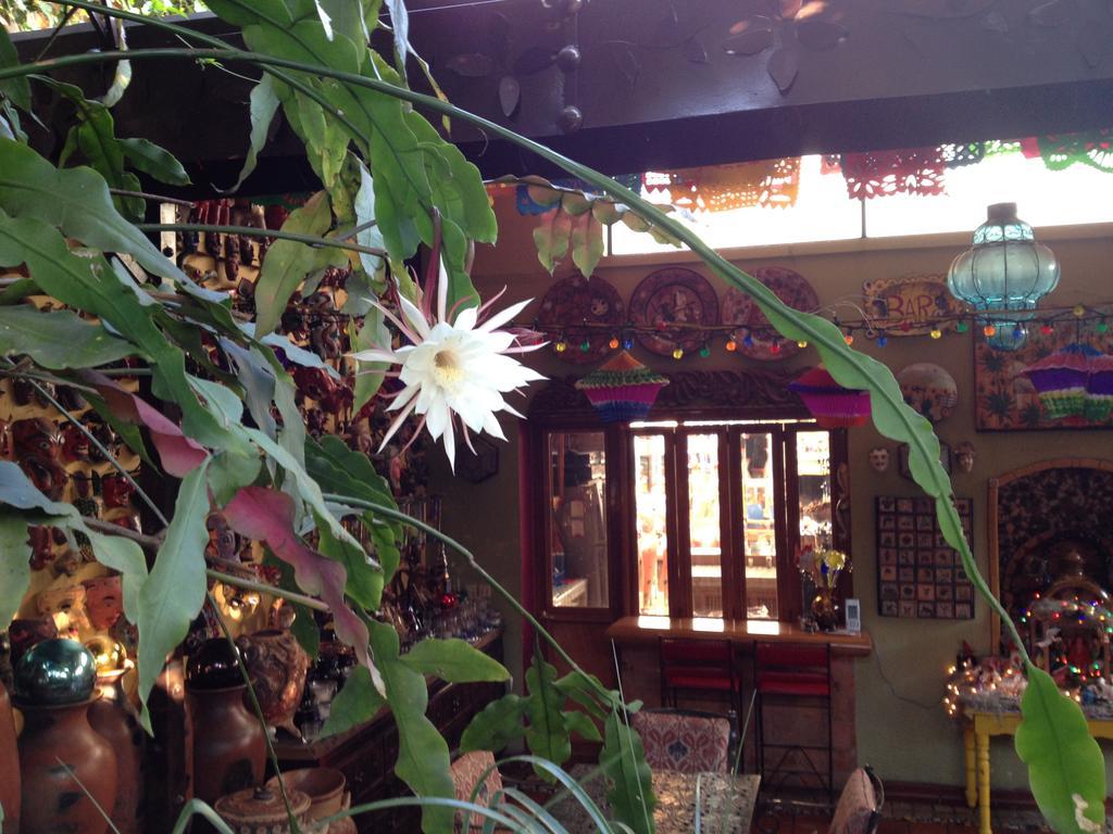 Casa De Las Flores Tlaquepaque Exterior foto