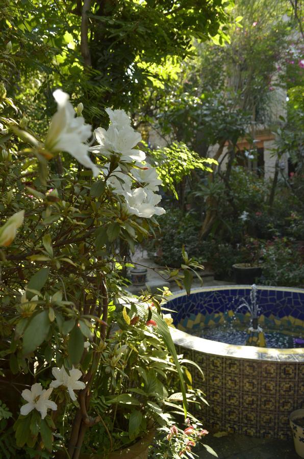 Casa De Las Flores Tlaquepaque Exterior foto