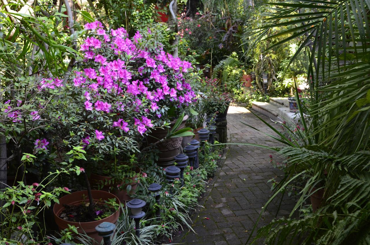 Casa De Las Flores Tlaquepaque Exterior foto